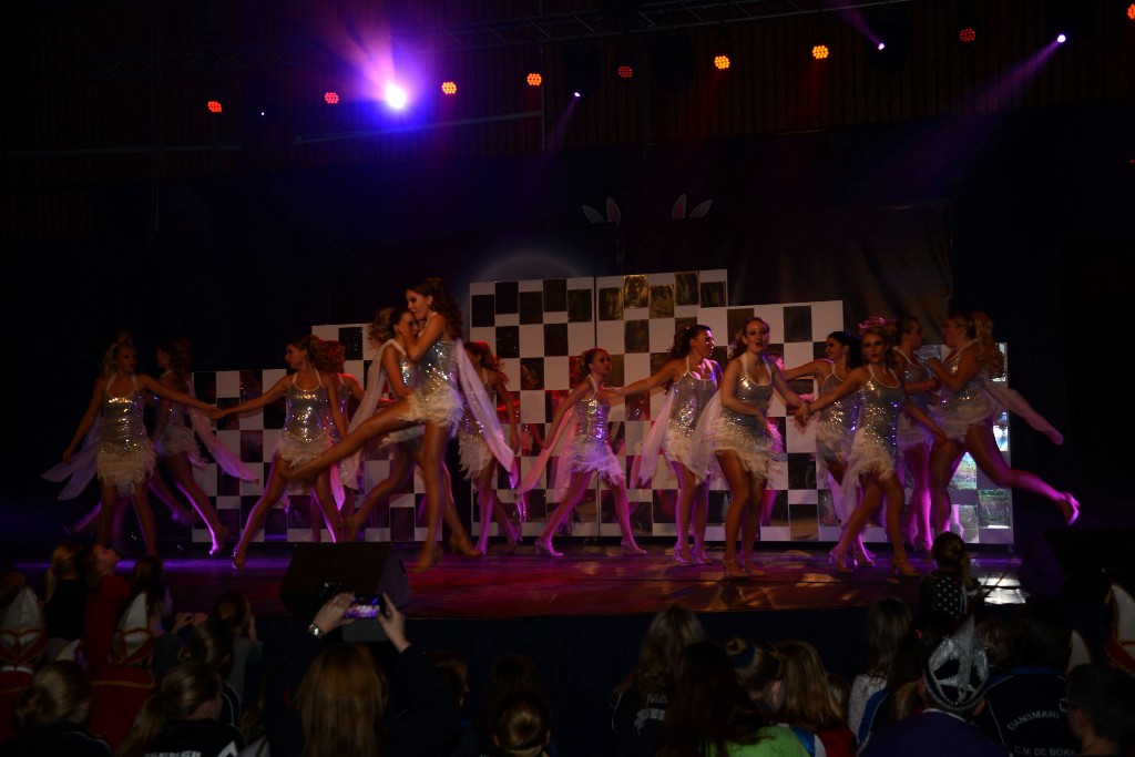 ../Images/Dansmarieke festival 2015 681.jpg